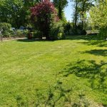 WhatsApp Bild 2025-05-14 um 12.46.05_35f1e966